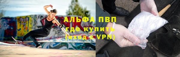 прущие крисы Надым