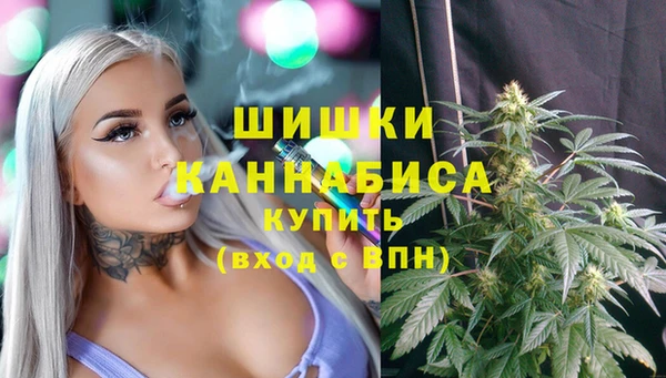 СК Навашино