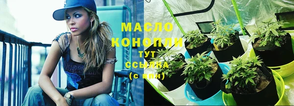 прущие крисы Надым